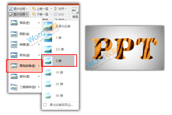 毛茸茸的字体 | PPT打造虎皮字体(图5) 毛茸茸的字体 | PPT打造虎皮字体
