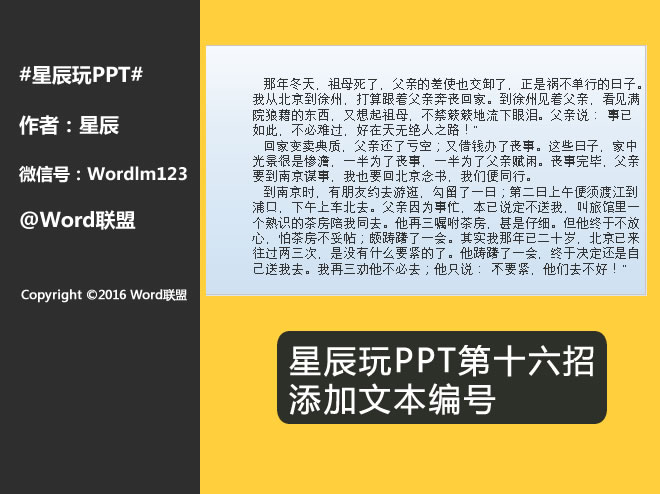 添加文本编号:星辰玩PPT第十六招(图1) 示例图